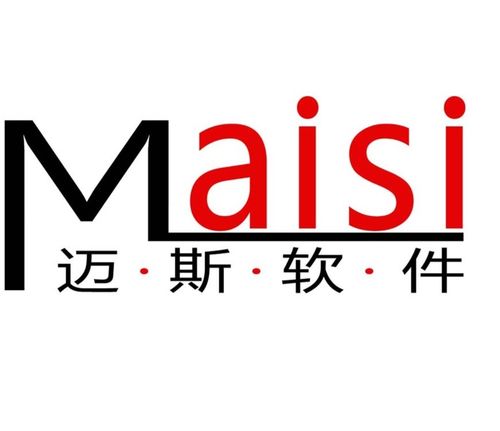 科技賦能，數智轉型 合肥邁斯軟件科技的軟件開發之道