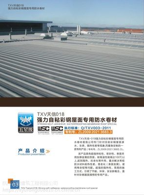 彩鋼瓦釘眼漏水問題全解析 屋面防水實用指南